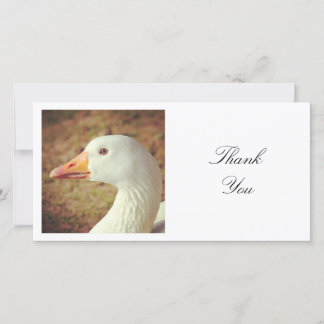 Tarjeta De Agradecimiento Foto cuadrada - Goose