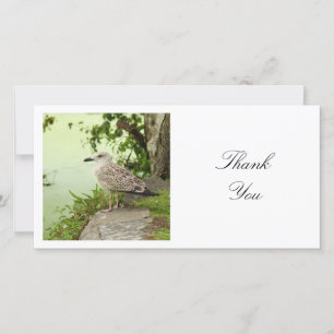 Tarjeta De Agradecimiento Foto cuadrada - Gull