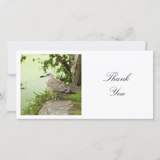 Tarjeta De Agradecimiento Foto cuadrada - Gull