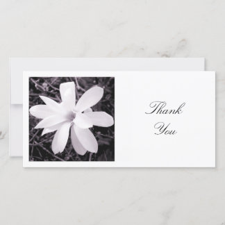 Tarjeta De Agradecimiento Foto cuadrada - Magnolia