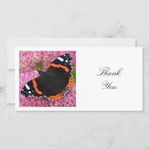 Tarjeta De Agradecimiento Foto cuadrada - Mariposa Almirante Rojo
