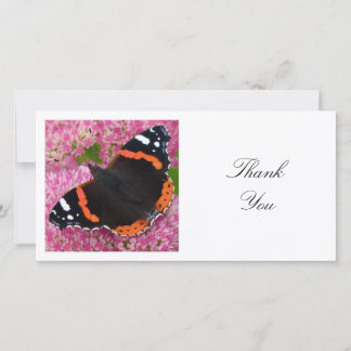 Tarjeta De Agradecimiento Foto cuadrada - Mariposa Almirante Rojo