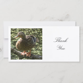 Tarjeta De Agradecimiento Foto Cuadrada - Pato Feliz