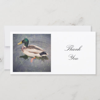 Tarjeta De Agradecimiento Foto cuadrada - Pato Mallard