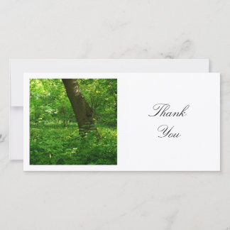 Tarjeta De Agradecimiento Foto Cuadrada - Primavera en el Bosque