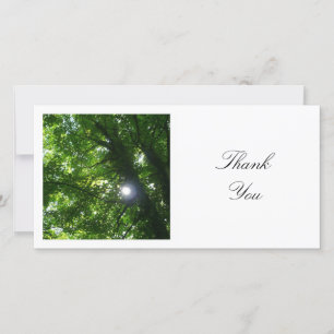 Tarjeta De Agradecimiento Foto cuadrada - Sol a través de los árboles