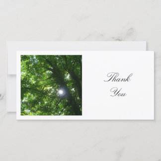Tarjeta De Agradecimiento Foto cuadrada - Sol a través de los árboles