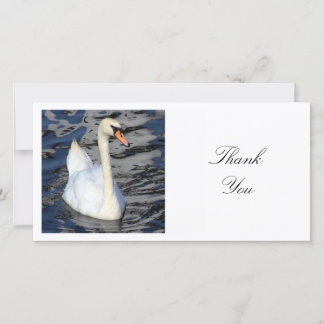 Tarjeta De Agradecimiento Foto cuadrada - Swan