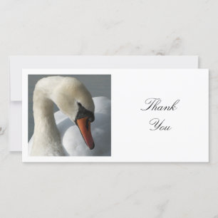 Tarjeta De Agradecimiento Foto cuadrada - Swan