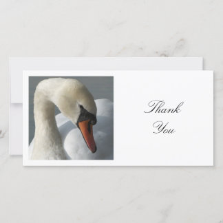 Tarjeta De Agradecimiento Foto cuadrada - Swan