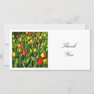 Tarjeta De Agradecimiento Foto cuadrada - Tulipanes coloridos