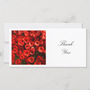 Tarjeta De Agradecimiento Foto cuadrada - Tulipanes rojos