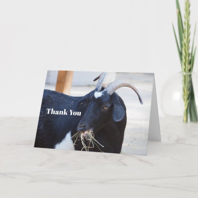 Tarjeta De Agradecimiento Foto Cute Black Goat (Anverso)