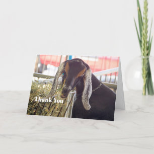 Tarjeta De Agradecimiento Foto Cute Goat Long Ears