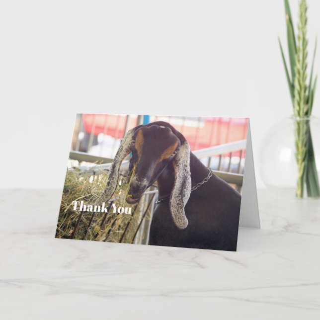 Tarjeta De Agradecimiento Foto Cute Goat Long Ears (Anverso)
