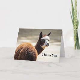 Tarjeta De Agradecimiento Foto de animales blancos y marrones de Alpaca
