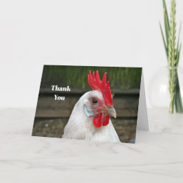 Tarjeta De Agradecimiento Foto de gallo de cabeza blanca de pollo