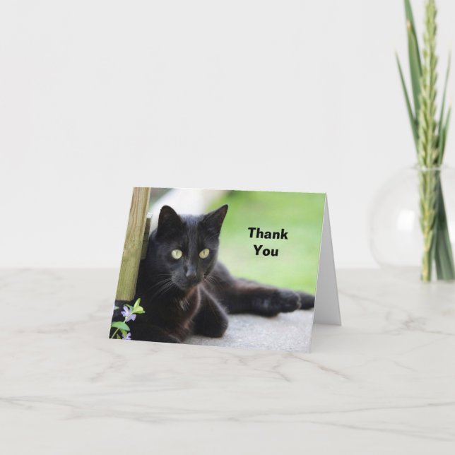 Tarjeta De Agradecimiento Foto de gato negro de bonito (Anverso)