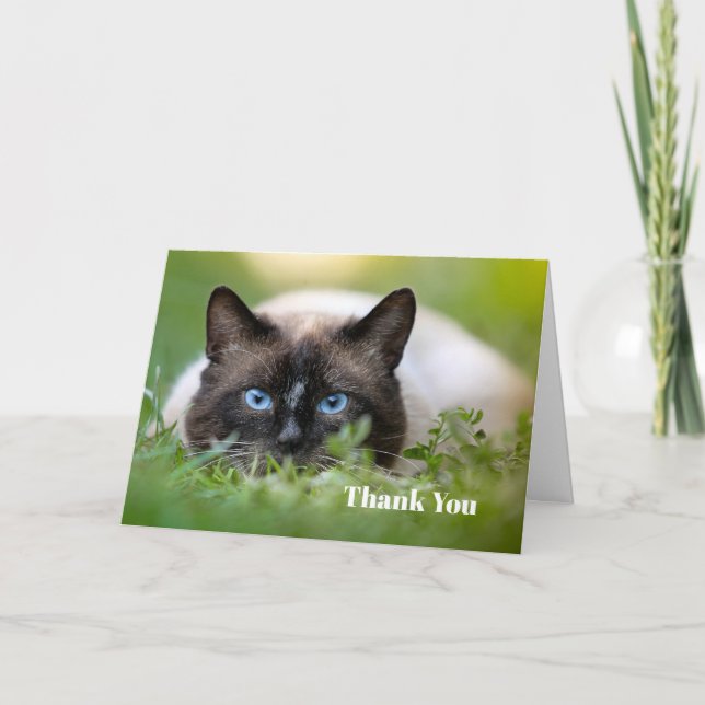 Tarjeta De Agradecimiento Foto de gato siamesa cutáneo (Anverso)
