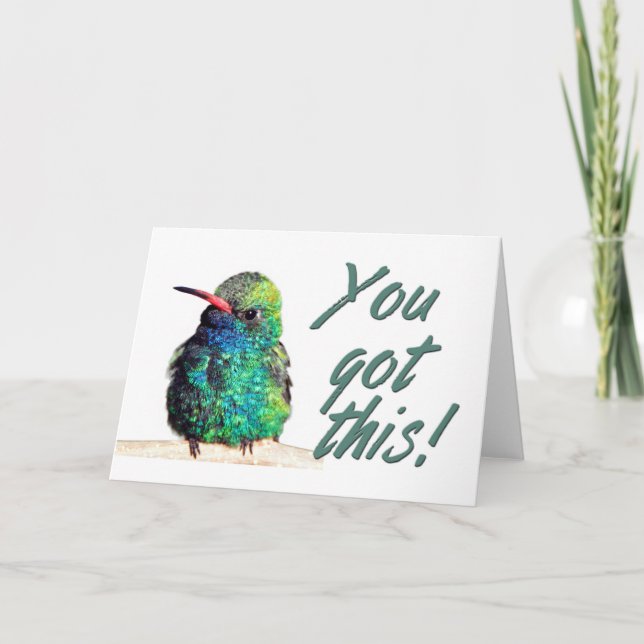 Tarjeta De Agradecimiento Foto De Hummingbird De Gran Carrera Que Tienes Est (Anverso)