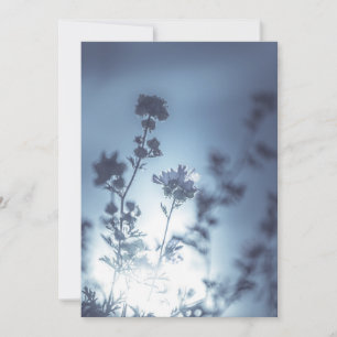 Tarjeta De Agradecimiento Foto de la naturaleza de las flores