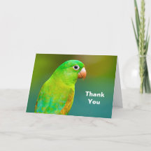 Foto de Loro Verde bonito