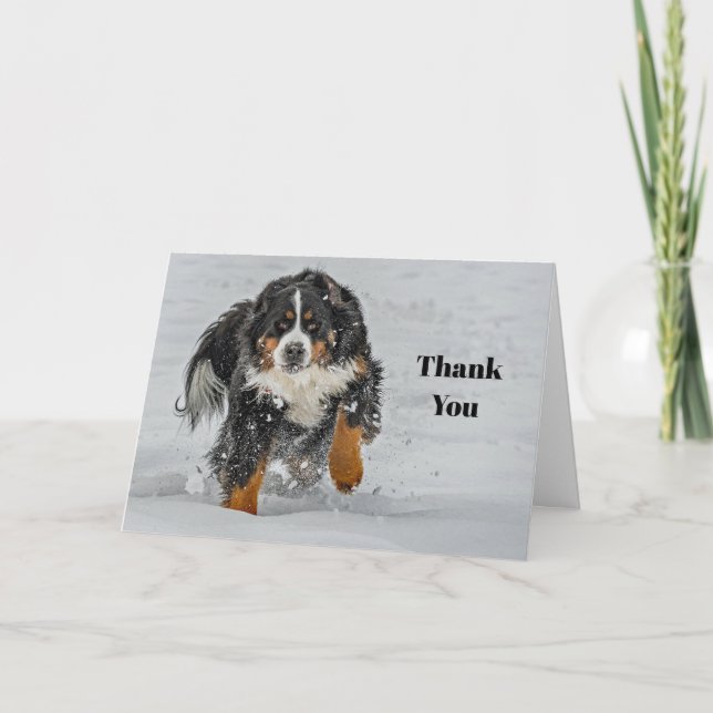 Tarjeta De Agradecimiento Foto de Nieve de Perro de Montaña Bernese (Anverso)