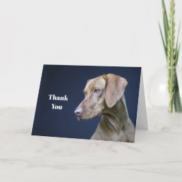 Tarjeta De Agradecimiento Foto de perro marrón de Vizsla