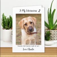 Foto de perro Mascota Veterinaria Personalizada