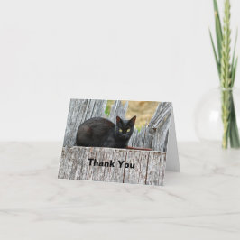 Tarjeta De Agradecimiento Foto de registro de gato negro de bonito