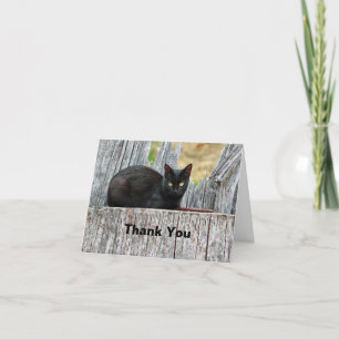 Tarjeta De Agradecimiento Foto de registro de gato negro de bonito