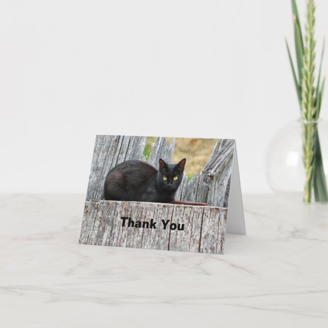Tarjeta De Agradecimiento Foto de registro de gato negro de bonito (Anverso)