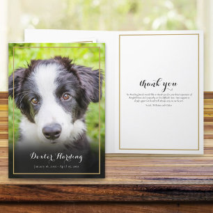 Tarjeta De Agradecimiento Foto de simpatía por pérdida de mascota elegante