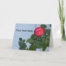 Tarjeta De Agradecimiento Foto de un Rosa contra una pared gris en una tarje