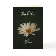 Foto floral de Casual Daisy personalizada