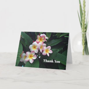 Tarjeta De Agradecimiento Foto floral de Plumeria rosa y amarilla de bonito