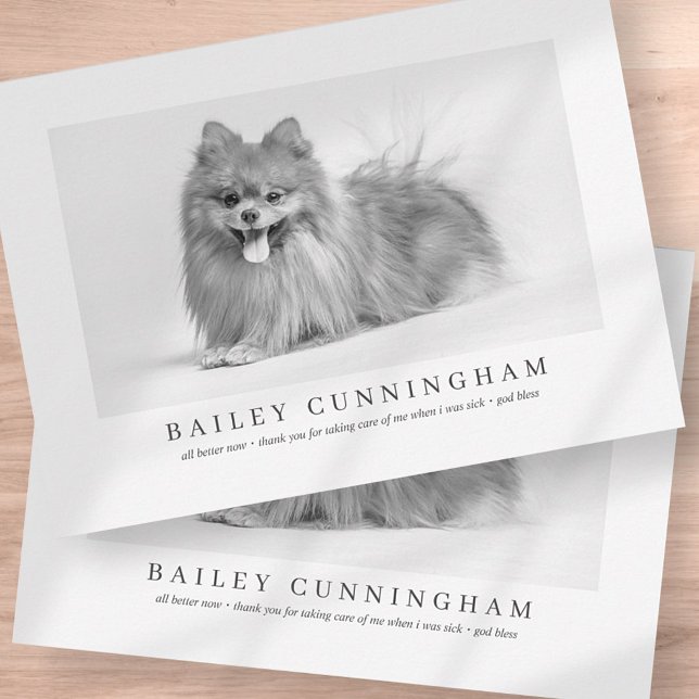 Tarjeta De Agradecimiento Foto Moderna Y Simple Mascota Gracias Enfermeras D (Subido por el creador)