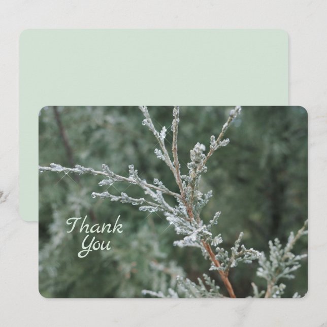 Tarjeta De Agradecimiento Foto natural de Navidades de Evergreen congelados (Anverso / Reverso)