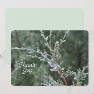 Tarjeta De Agradecimiento Foto natural de Navidades de Evergreen congelados