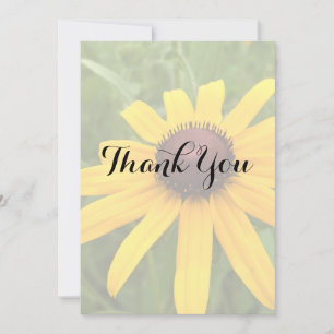 Tarjeta De Agradecimiento Foto personalizada de una sola Rudbeckia para duch