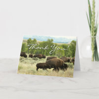 Fotografía de animales de la naturaleza de Wyoming