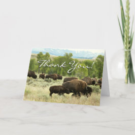 Tarjeta De Agradecimiento Fotografía de animales de la naturaleza de Wyoming