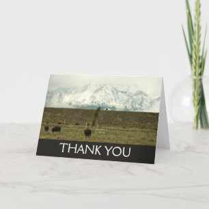 Tarjeta De Agradecimiento Fotografía de bisontes en el Parque Nacional Grand