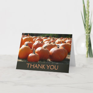 Tarjeta De Agradecimiento Fotografía de calabazas para Caída, Halloween o Dí