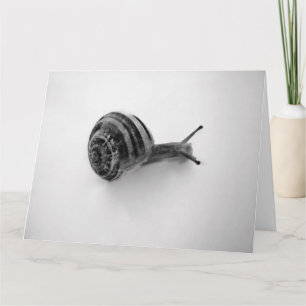 Tarjeta De Agradecimiento Fotografía de caracol de jardín en la naturaleza