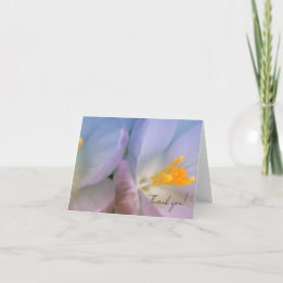 Tarjeta De Agradecimiento Fotografía de crocus de primavera