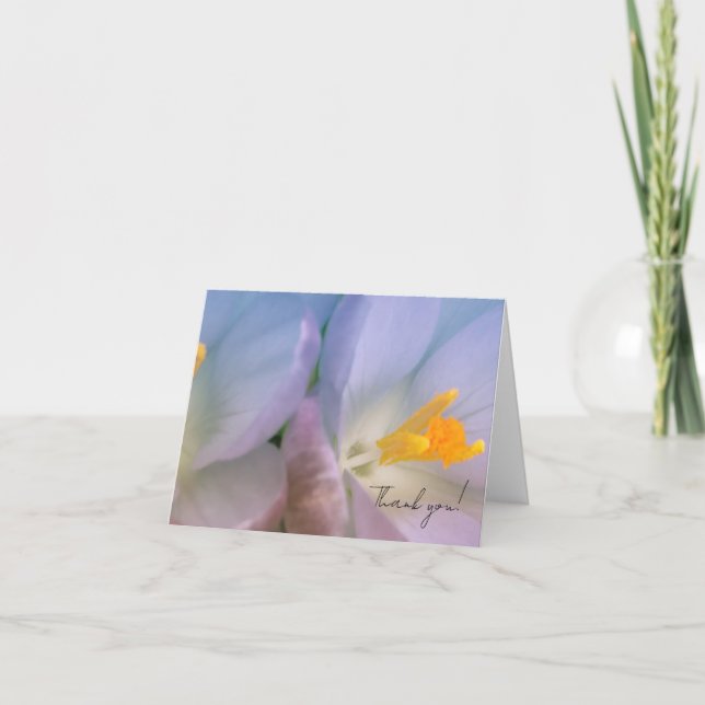Tarjeta De Agradecimiento Fotografía de crocus de primavera (Anverso)