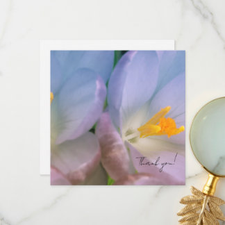 Tarjeta De Agradecimiento Fotografía de crocus de primavera