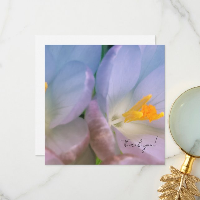Tarjeta De Agradecimiento Fotografía de crocus de primavera (Anverso/Reverso In Situ)