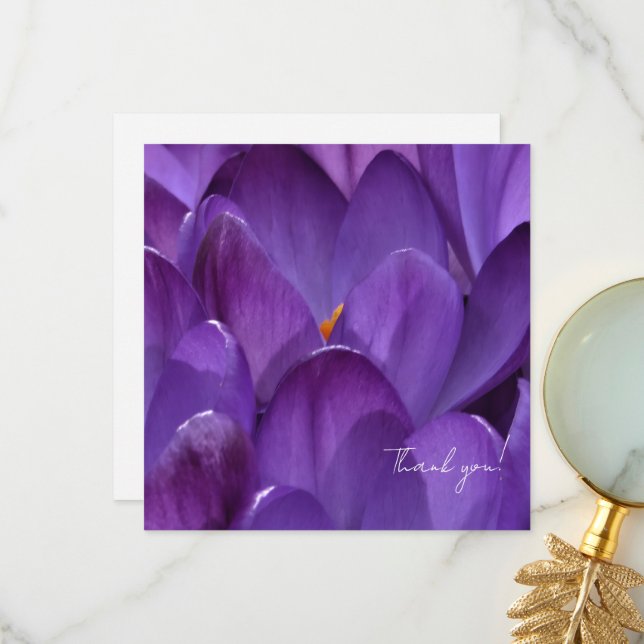 Tarjeta De Agradecimiento Fotografía de flores de crocus de primavera (Anverso/Reverso In Situ)